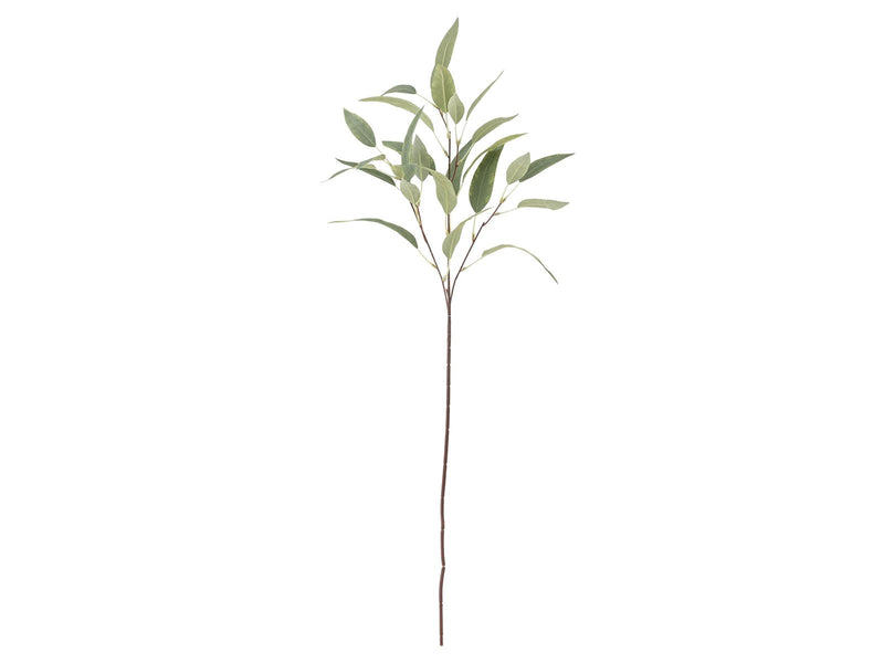 Bloomingville Eucalyptus
