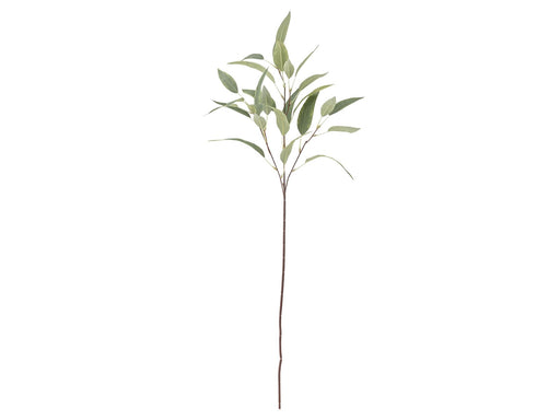 Bloomingville Eucalyptus