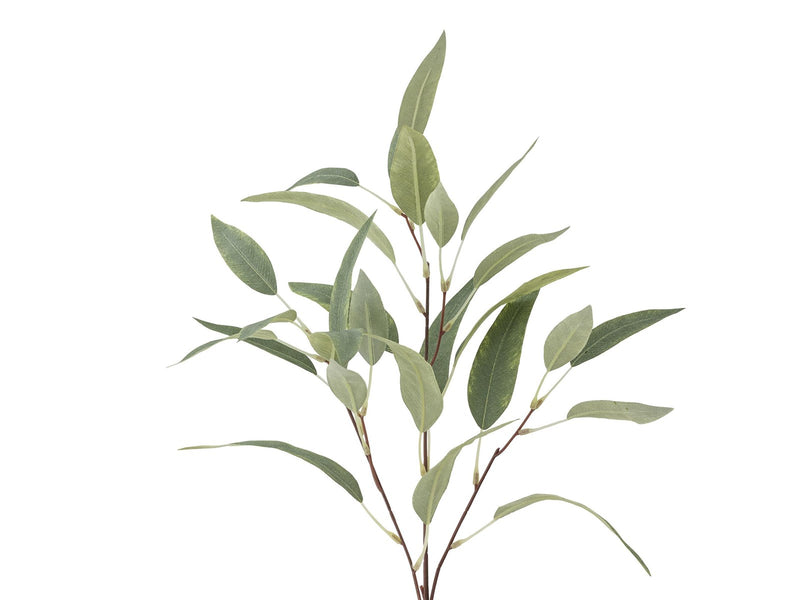 Bloomingville Eucalyptus