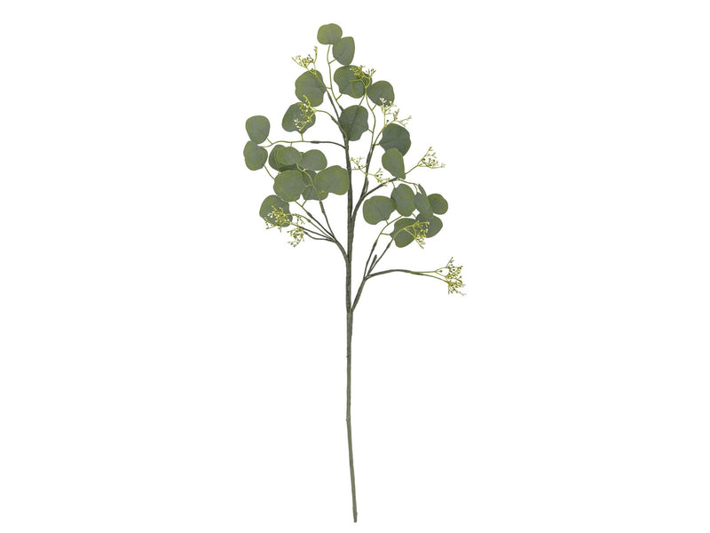 Bloomingville Eucalyptus