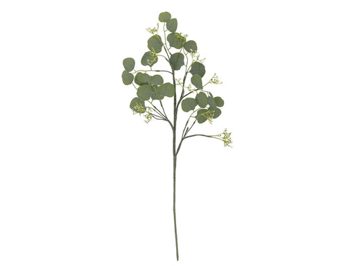 Bloomingville Eucalyptus
