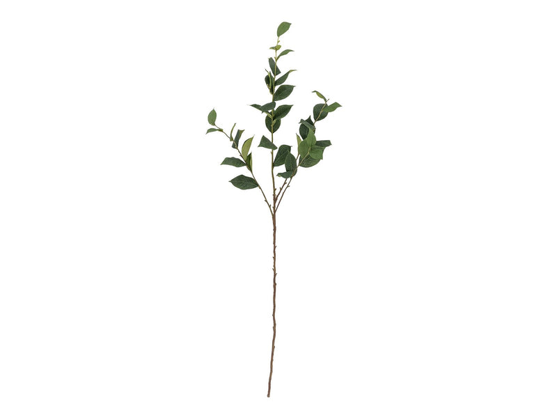Bloomingville Eucalyptus
