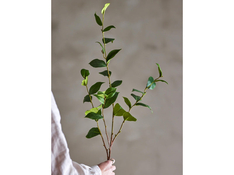 Bloomingville Eucalyptus