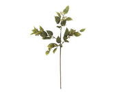 Bloomingville Eucalyptus