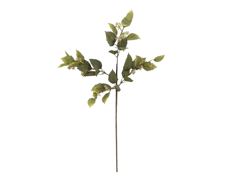 Bloomingville Eucalyptus