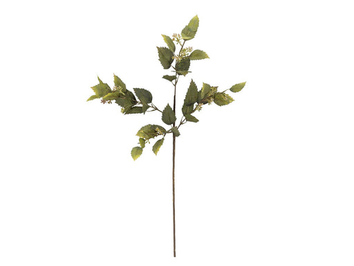 Bloomingville Eucalyptus