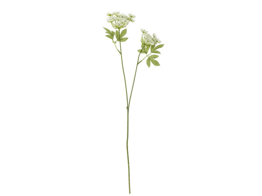 Bloomingville Fennel