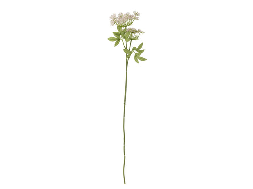 Bloomingville Fennel