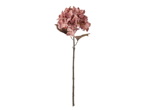 Bloomingville Hydrangea