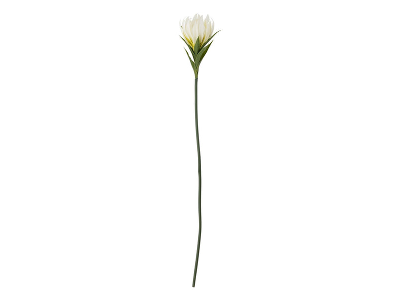 Bloomingville Lily