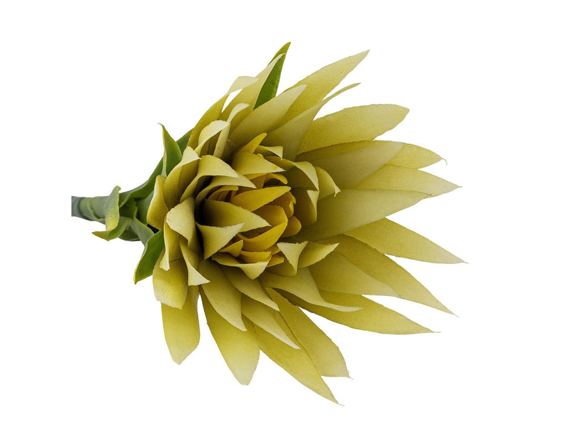 Bloomingville Lily