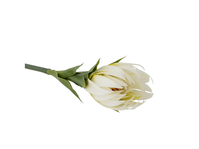 Bloomingville Lily
