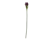 Bloomingville Lily