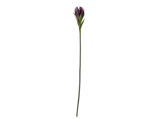 Bloomingville Lily