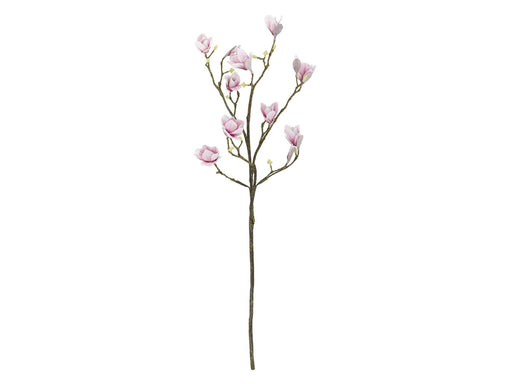 Bloomingville Magnolia