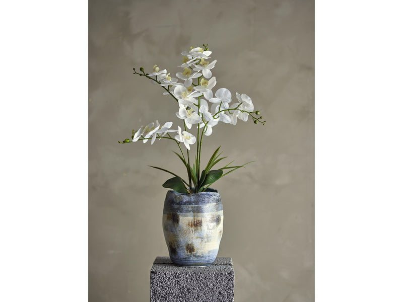 Bloomingville Orchid