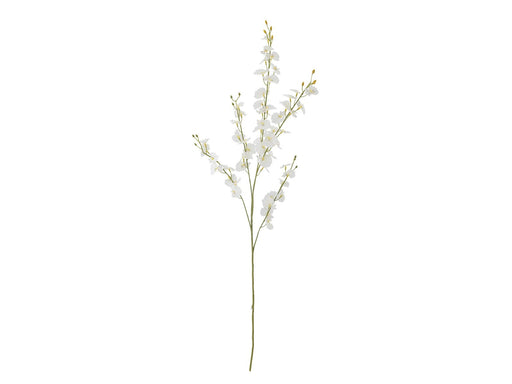Bloomingville Orchid