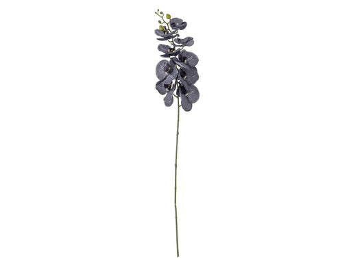 Bloomingville Orchid
