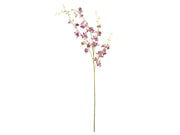 Bloomingville Orchid