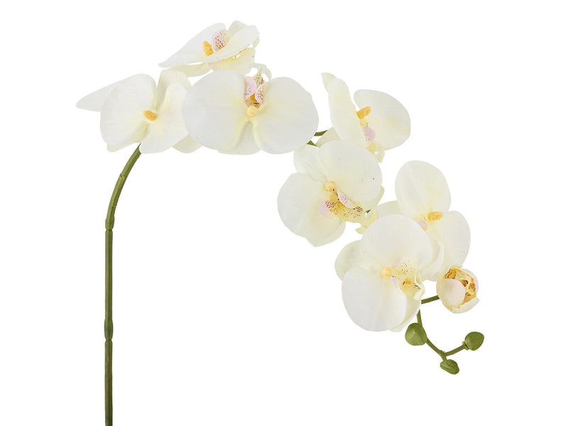Bloomingville Orchid