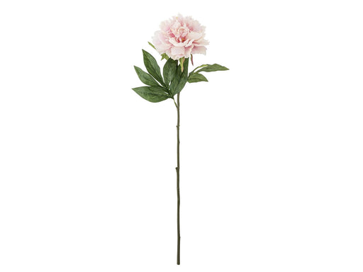 Bloomingville Peony