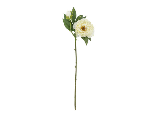 Bloomingville Peony
