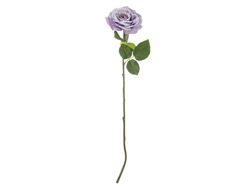Bloomingville Rose