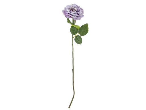 Bloomingville Rose