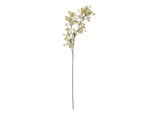 Bloomingville Waxflower