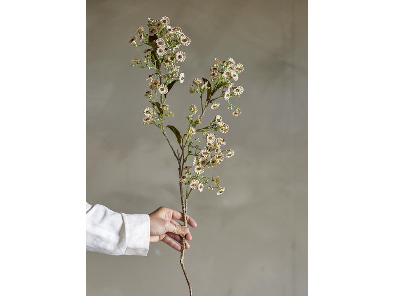 Bloomingville Waxflower