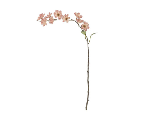 Bloomingville Wild Cherry