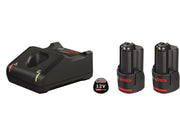 Bosch Professional 1600A019RD Blue 12 V battery pack 2×3.0 Ah with Charger