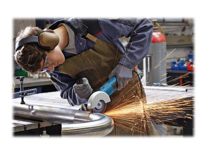 Bosch Professional GWS 17-125 INOX Professional Angle Grinder 1700W