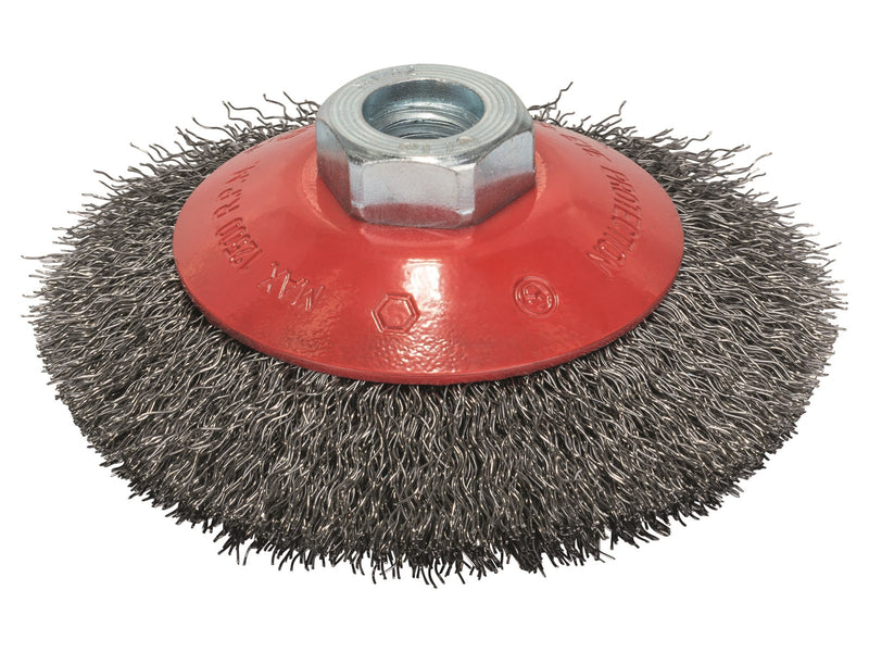 Bosch STÅLBØRSTE 100MM