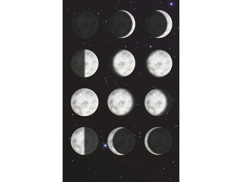 Brainstorm My Very Own Moon