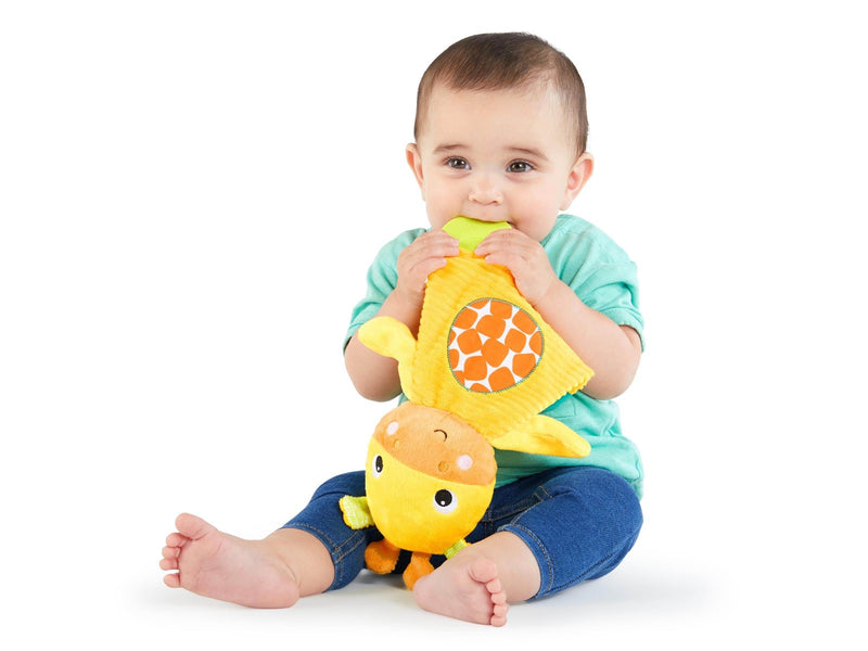 Bright Starts Snuggle & teether w. giraffe