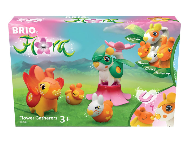 Brio Blumensammler