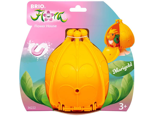 Brio Marigolds Blumenhaus