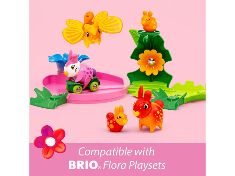 Brio Zinnia & Peach