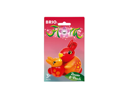 Brio Zinnia & Peach