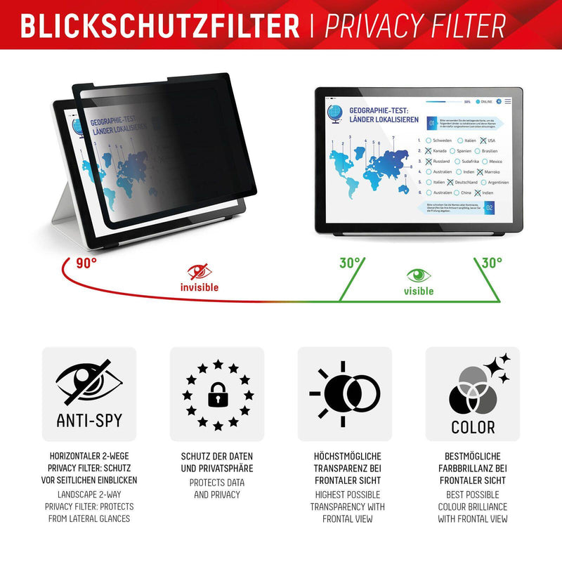 DISPLEX Tablet Glass (9H) & Privacy Safe Blickschutzfilter für iPad 10,9'' (10. Generation)