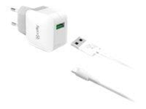 CELLY TCUSBTYPEC power adapter - USB