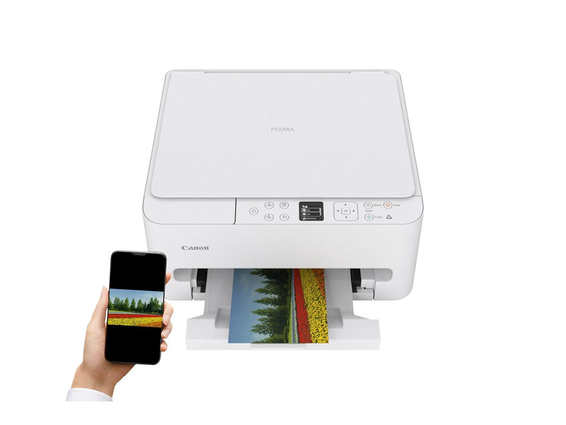 Canon PIXMA TS6550i Multifunktion - Farbe - Tinte