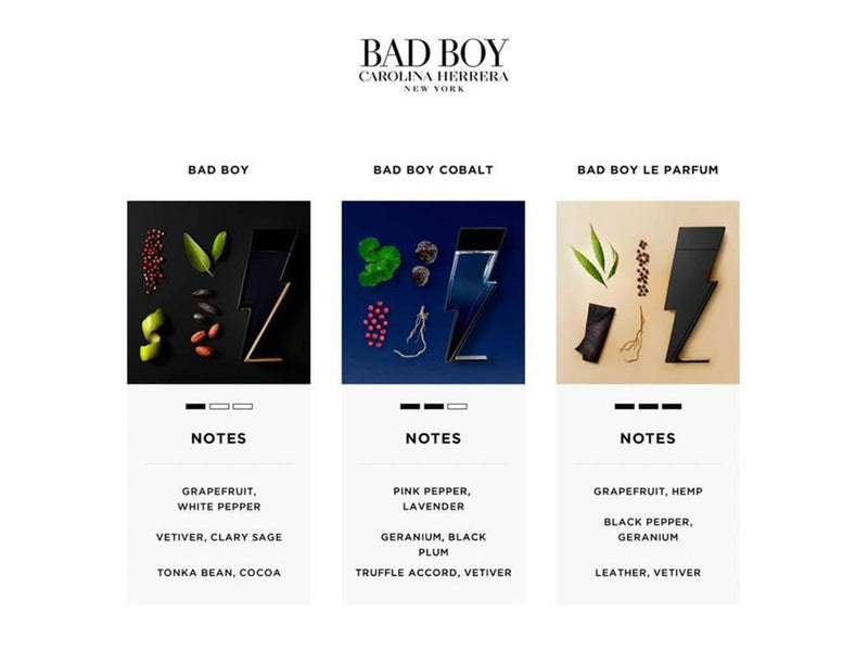 Carolina Herrera Bad Boy Edt Spray - 100 ml0