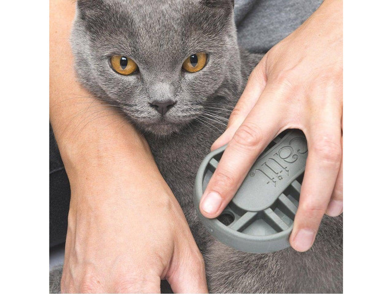 Catit - Grooming Kit Short Hair - (730.0360)