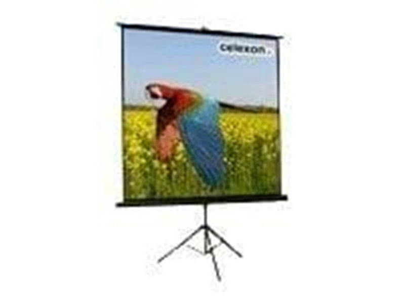Celexon Economy tripod screen