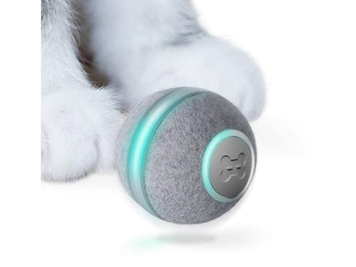 Cheerble BALL M1 - GRAY