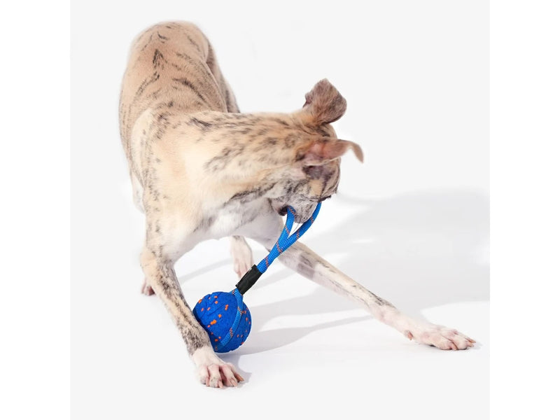 Cheerble WICKED BALL AIR ROPE-ROYAL BLUE