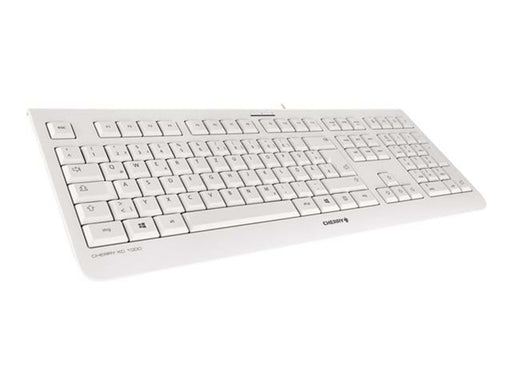 Cherry KC 1000 - Tastatur - Englisch (US) - Grau