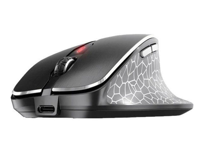 Cherry MW 8C ERGO - Maus (Schwarz)